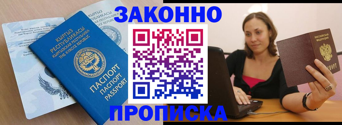 временная прописка в Светлограде